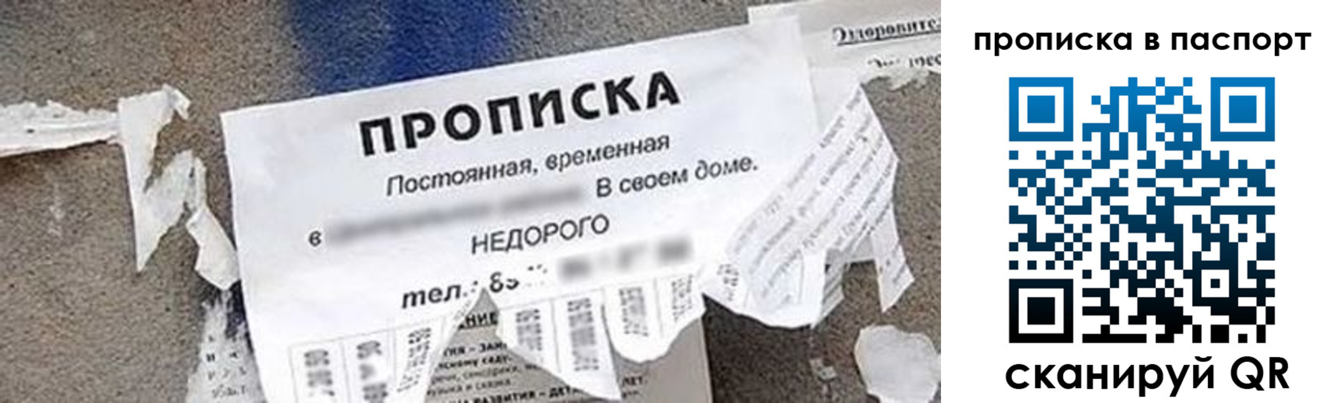 где прописаться в Павловске